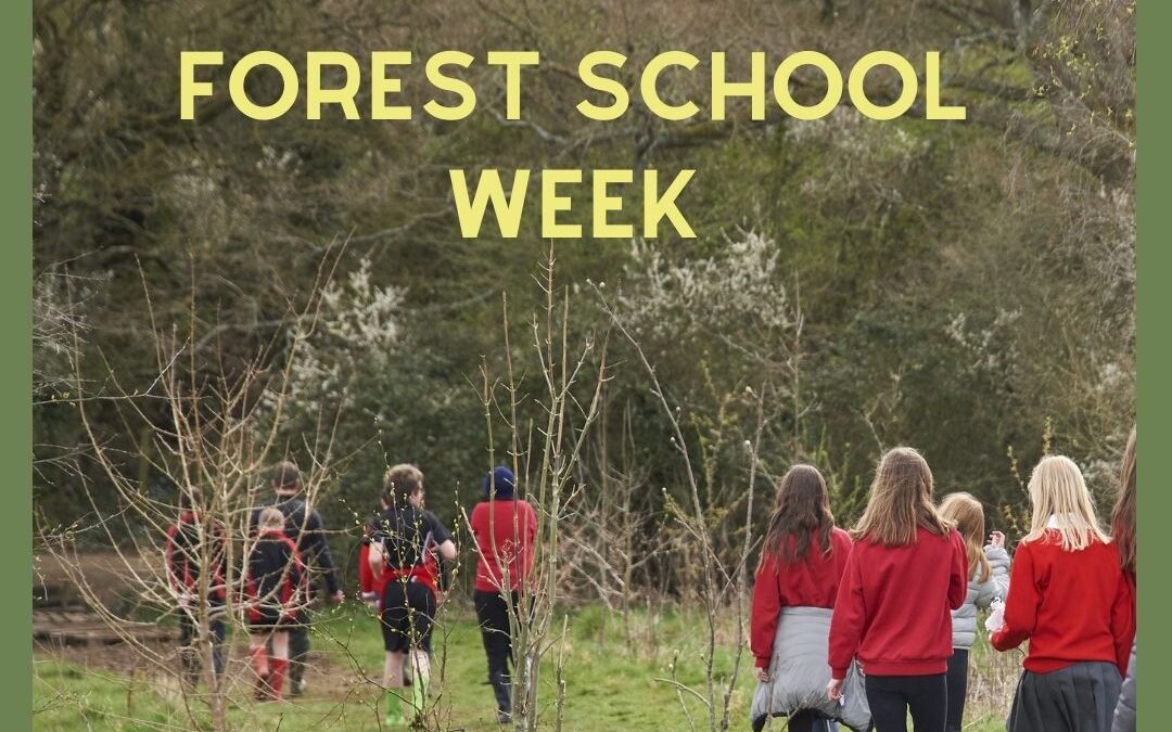 Year 7 – Forest School