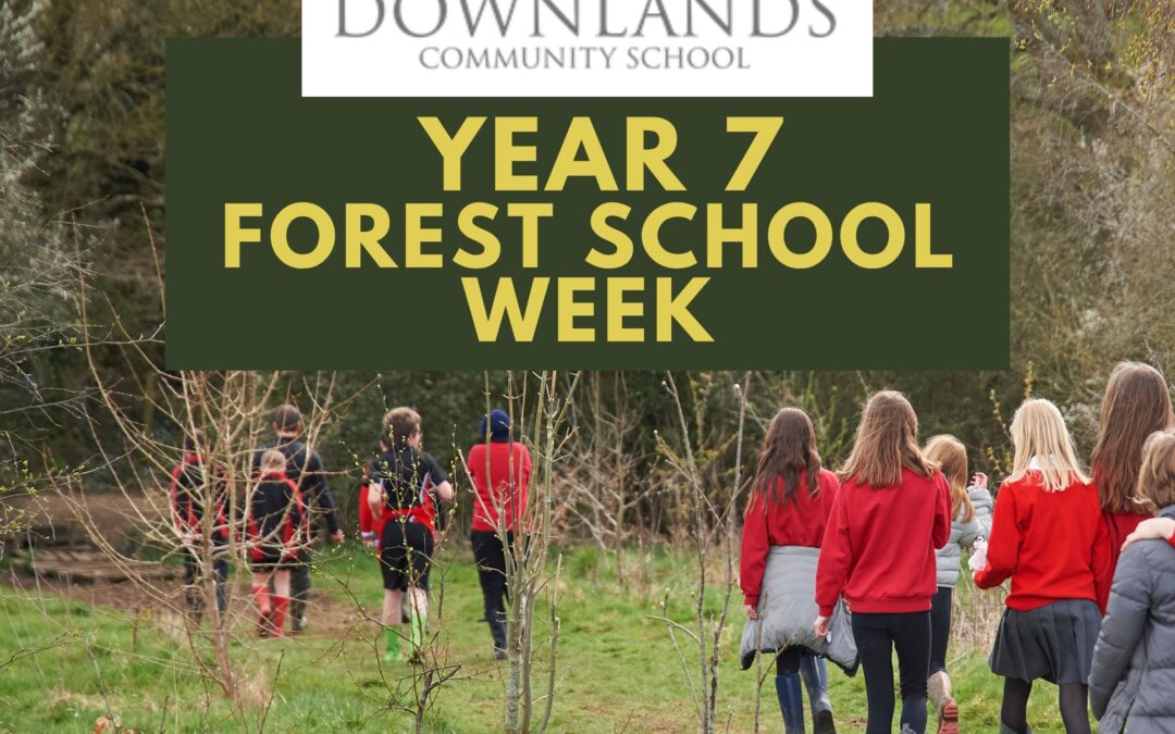Year 7 Forest School